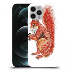 סקוור עשיר כיסוי מגן קשיח מעוצב ל Apple iPhone 12 Pro Max יחידה אחת סקרין מובייל