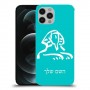 ספינקס מצרים כיסוי מגן קשיח בעיצוב אישי עם השם שלך ל Apple iPhone 12 Pro יחידה אחת סקרין מובייל