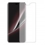Honor Magic6 RSR Porsche Design מגן מסך הידרוג'ל שקוף (סיליקון) יחידה אחת סקרין מובייל