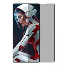ZTE nubia RedMagic 10S Pro 5G  מגן מסך הידרוג'ל פרטיות (סיליקון) יחידה אחת סקרין מובייל