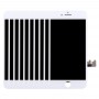 מסך 10 PCS LCD ו Digitizer מלא עצרת עבור 7 iPhone (לבן)