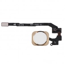 בית מפתח לחצן עם PCB ממברנה Flex כבל לאייפון 5S. פונקצית זיהוי טביעות אצבע לא (זהב)
