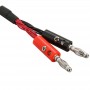 שירות מסור Power Line עבור iPhone X - iPhone 8 ו 8 פלוס - iPhone 7 ו 7 פלוס - iPhone 6s ו 6s פלוס ו 6 ו 6 פלוס - 5 ו 5S ו 5C - 4 ו 4S (לבן)