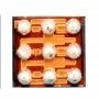 Small מטען IC 68.827 לאייפון 7 פלוס - 7 - 6s פלוס - 6s