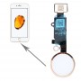כפתור הבית במשך 7 iPhone. בלי לתמוך זיהוי טביעות אצבע (זהב)